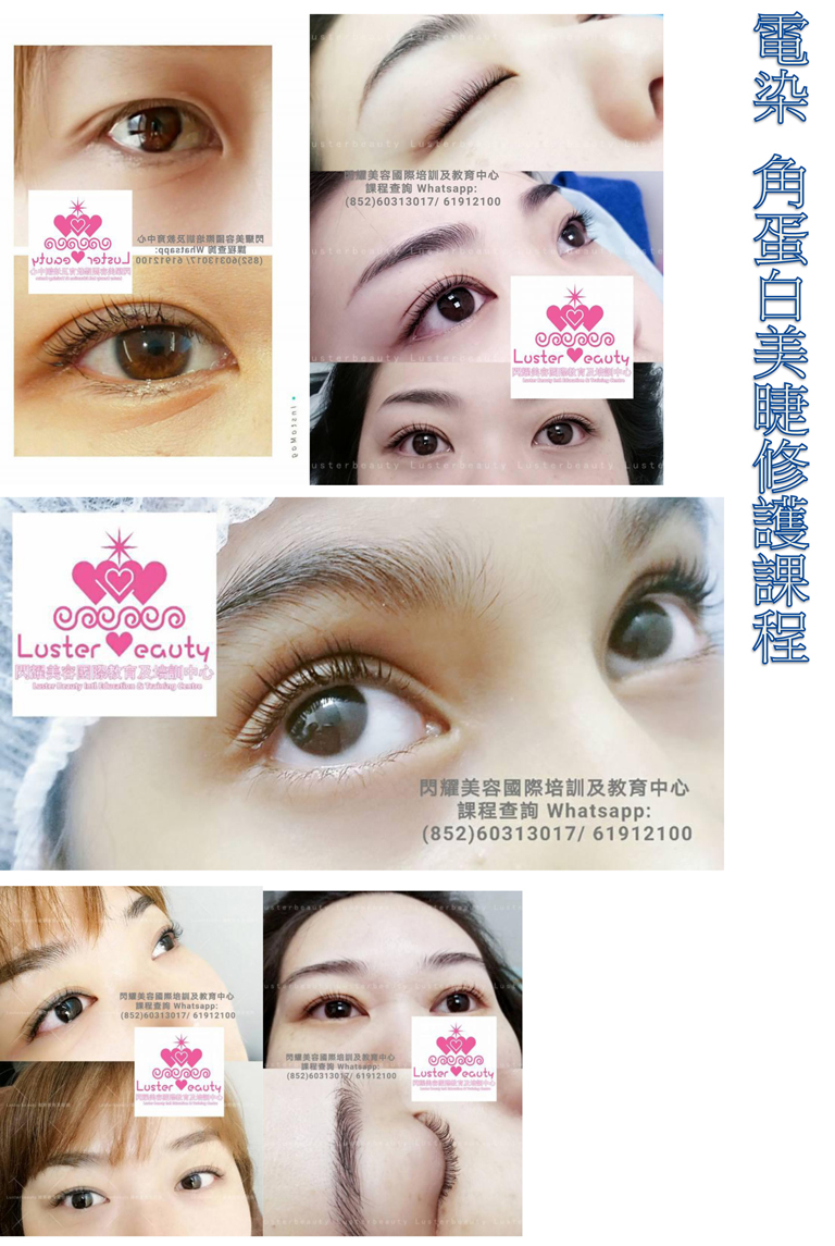 USA KOREA JAPAN FRANCE LASH PERMING TINTING LIFTING KERATIN UP CERT COURSE   日本 美国 韩国 法式 电染 角蛋白美睫修护 角蛋白烫睫毛 角蛋白翘睫术 法式角蛋白美睫 证书课程 印彩色 双面