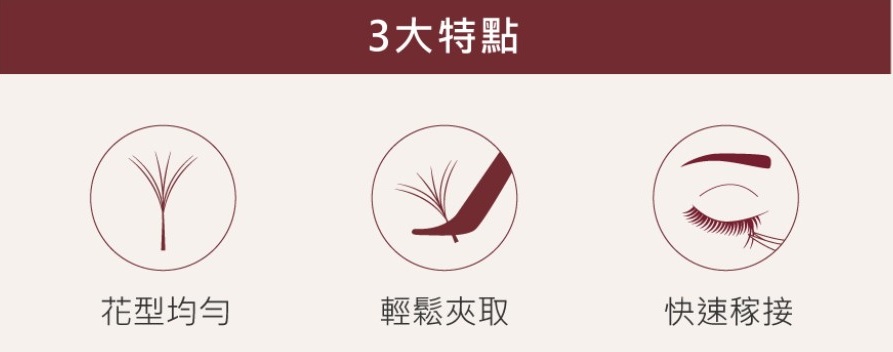 6D 多根稼接 -【燦光系列4D 0.07】睫毛 D系列▸黑色◂8+9mm