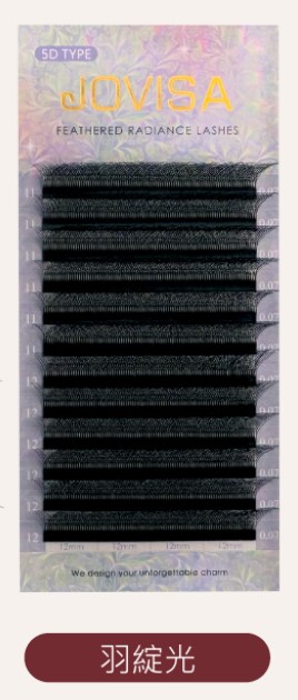 6D 多根稼接 -【燦光系列5D 0.07】睫毛 D系列▸黑色◂8+9mm